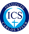 Campus Instituto Carlos Steeb